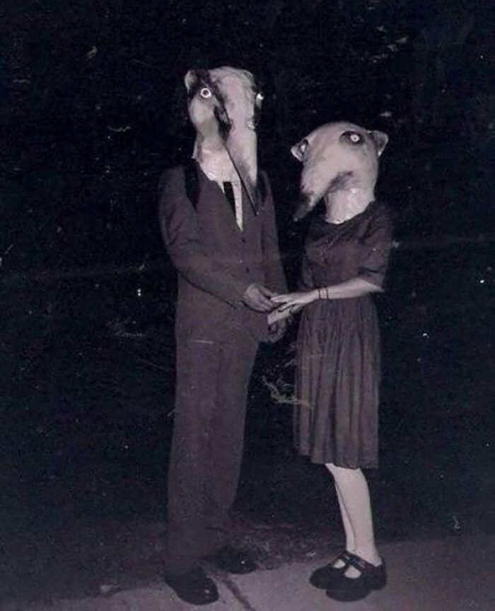 Mr And Mrs Aardvark