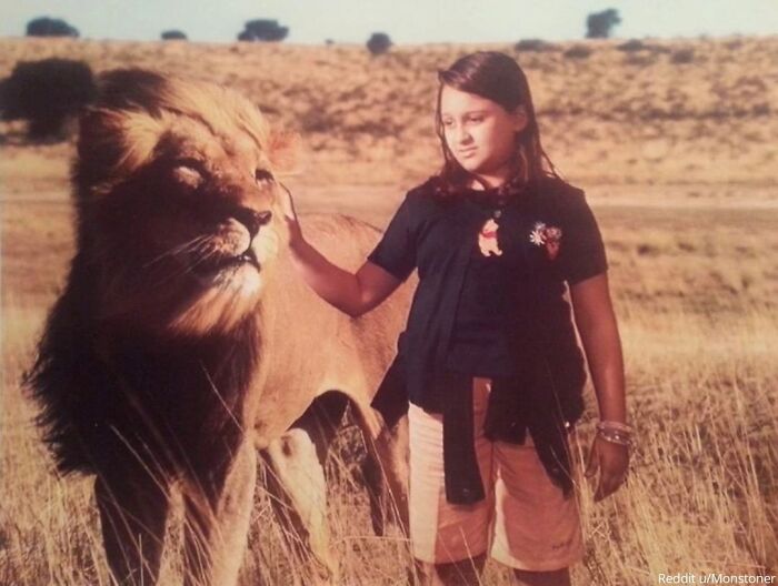 When I Was 7, I Brought This To Show And Tell And Told My Class, 'I Went To Africa Over The Weekend And Got To Pet A Lion.' I Lied