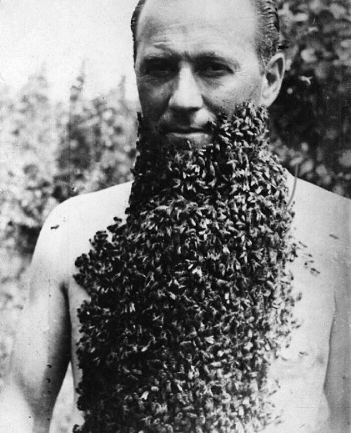 Bee Beard
