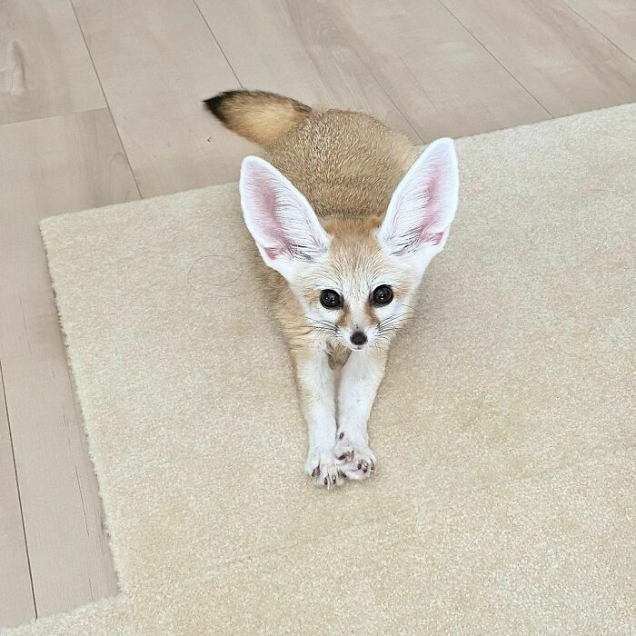 If You Call Her Properly, She Will Come