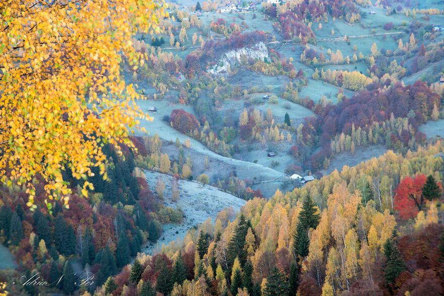 Morning Autumn In Magura, Romania