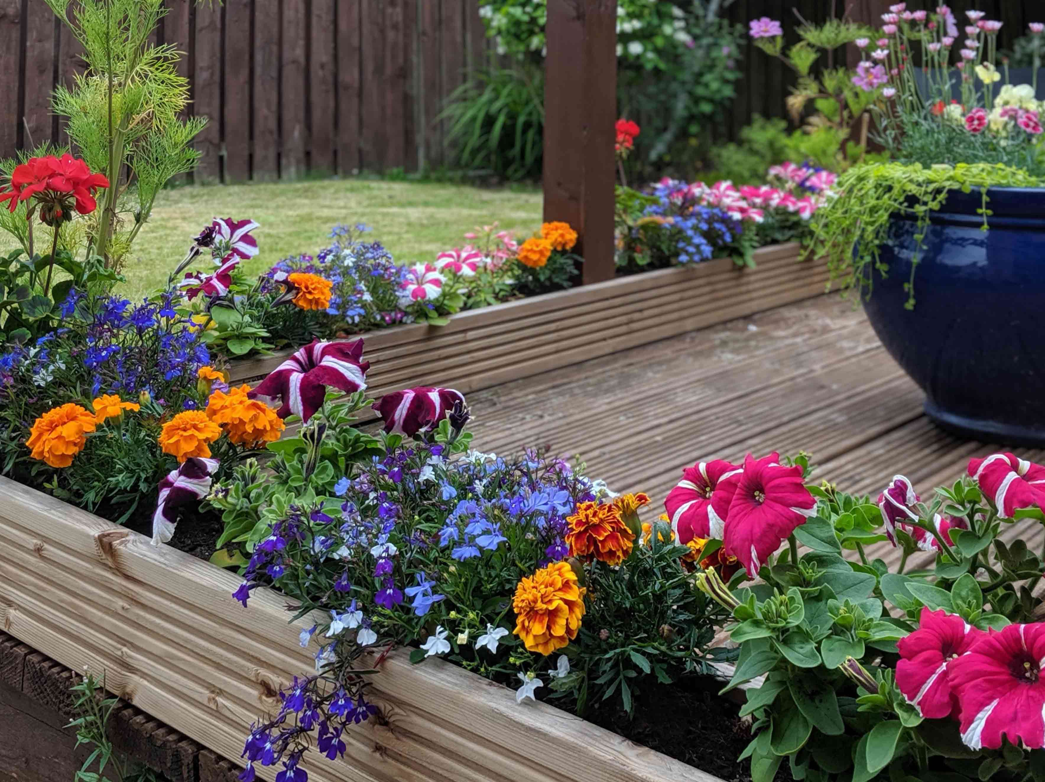 Wooden deck with many colorful flowers
