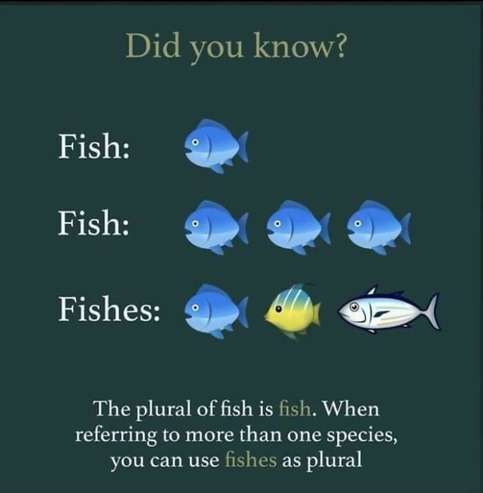 The Plural Of Fish