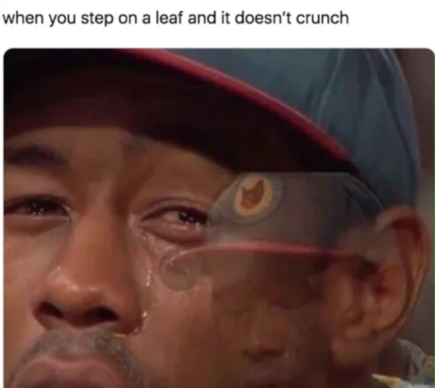 Fall Memes Fall Memes