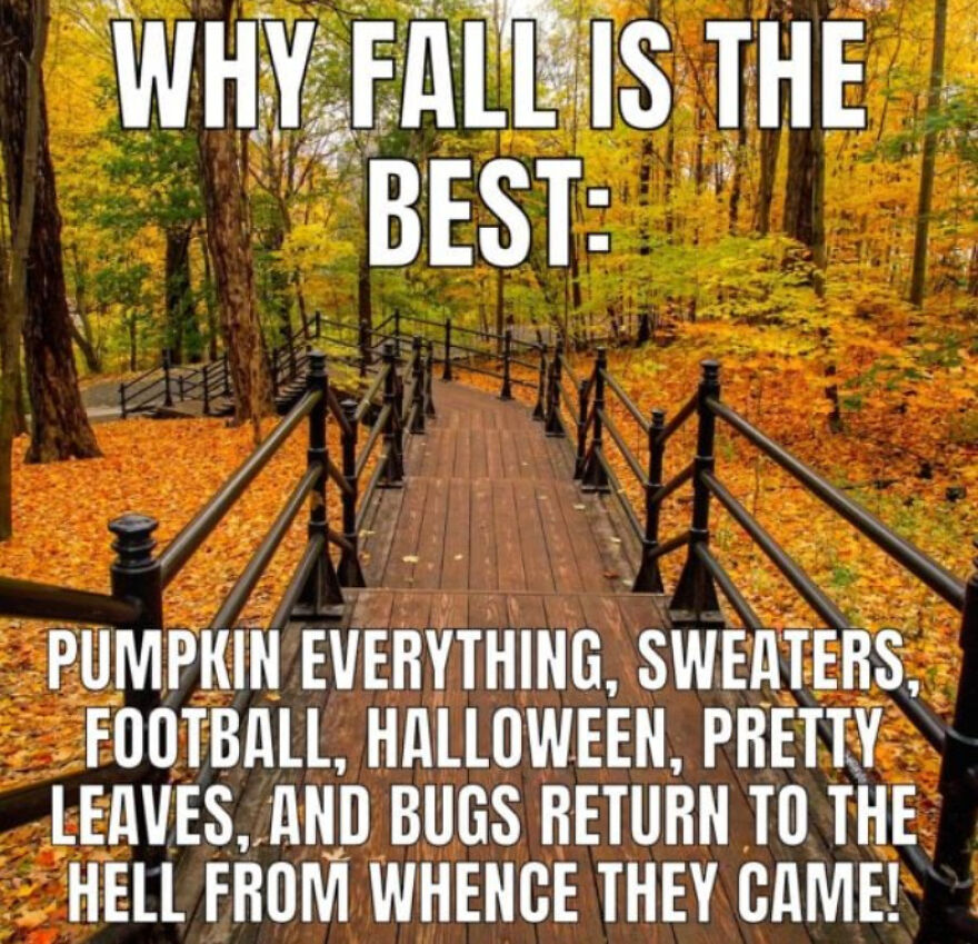 Fall Memes Fall Memes