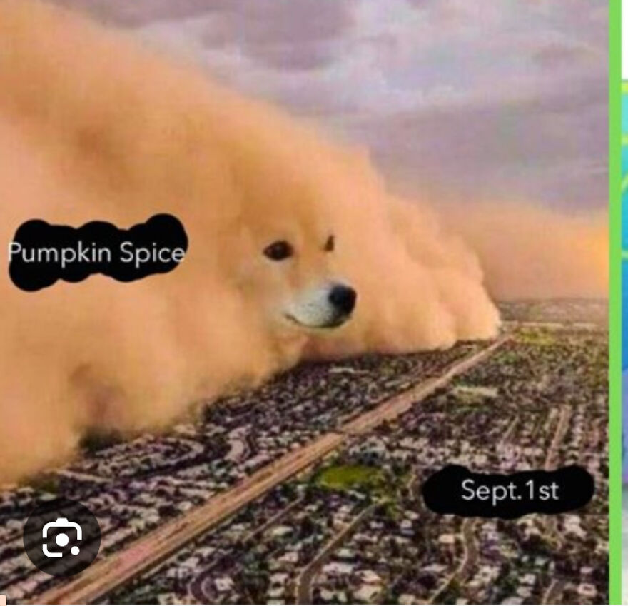 Fall Memes Fall Memes