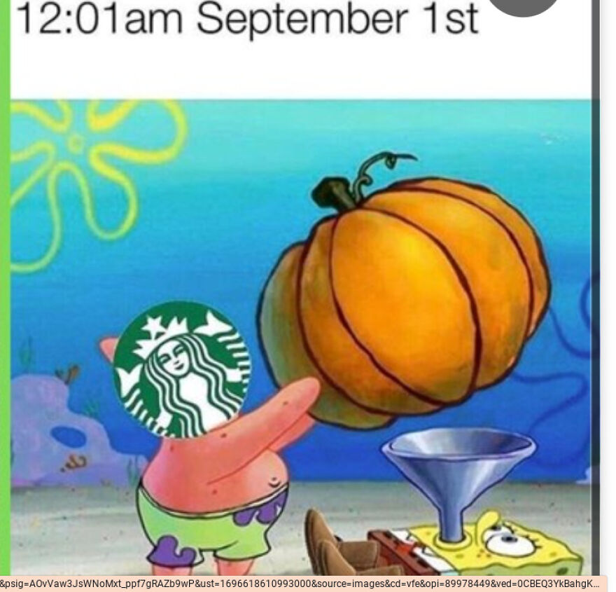 Fall Memes Fall Memes