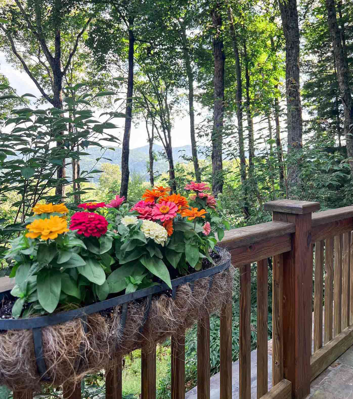 Colorful flower pot hanging on wooden railing