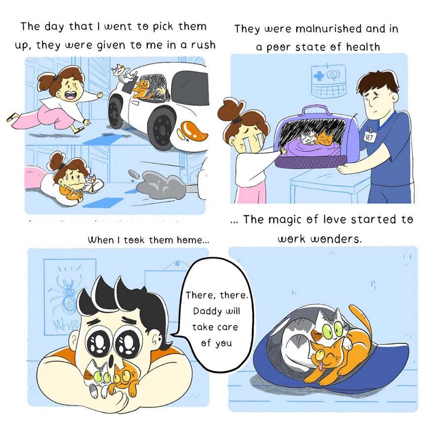 I Create Comics Depicting My Life After Moving To South Korea