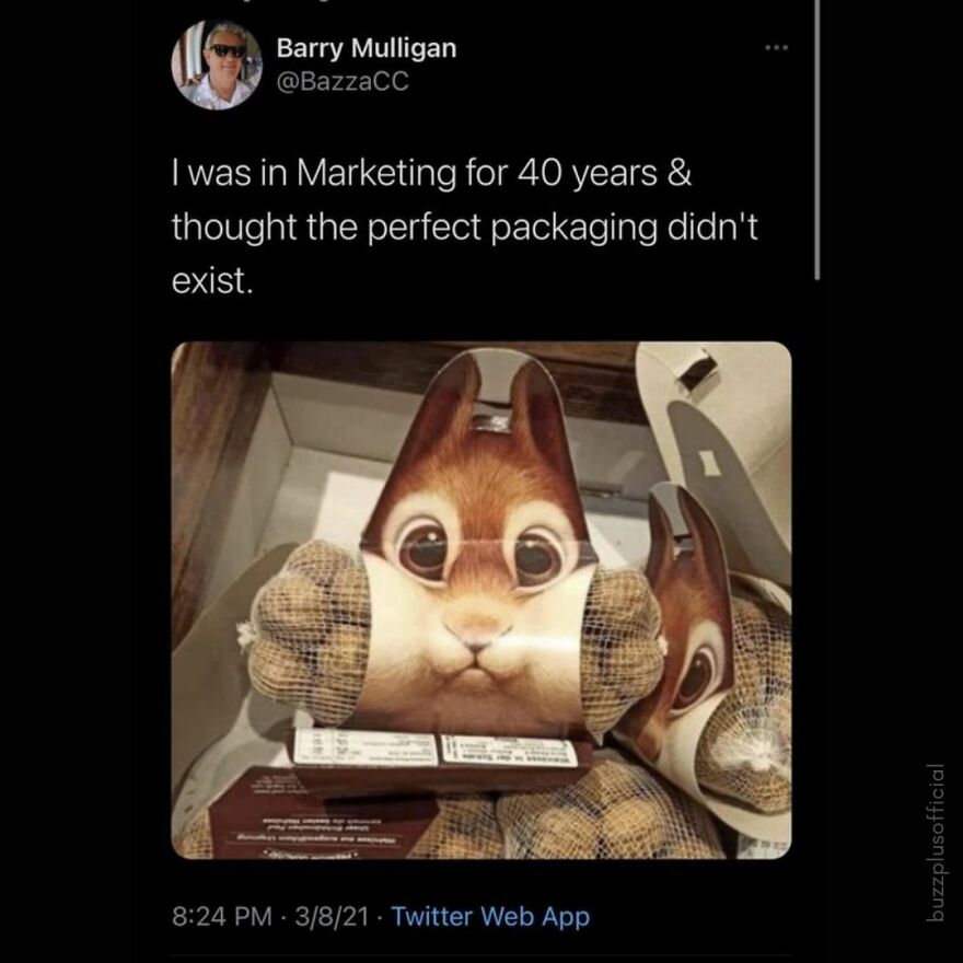 Funny Daily Memes For You Funny Daily Memes For You