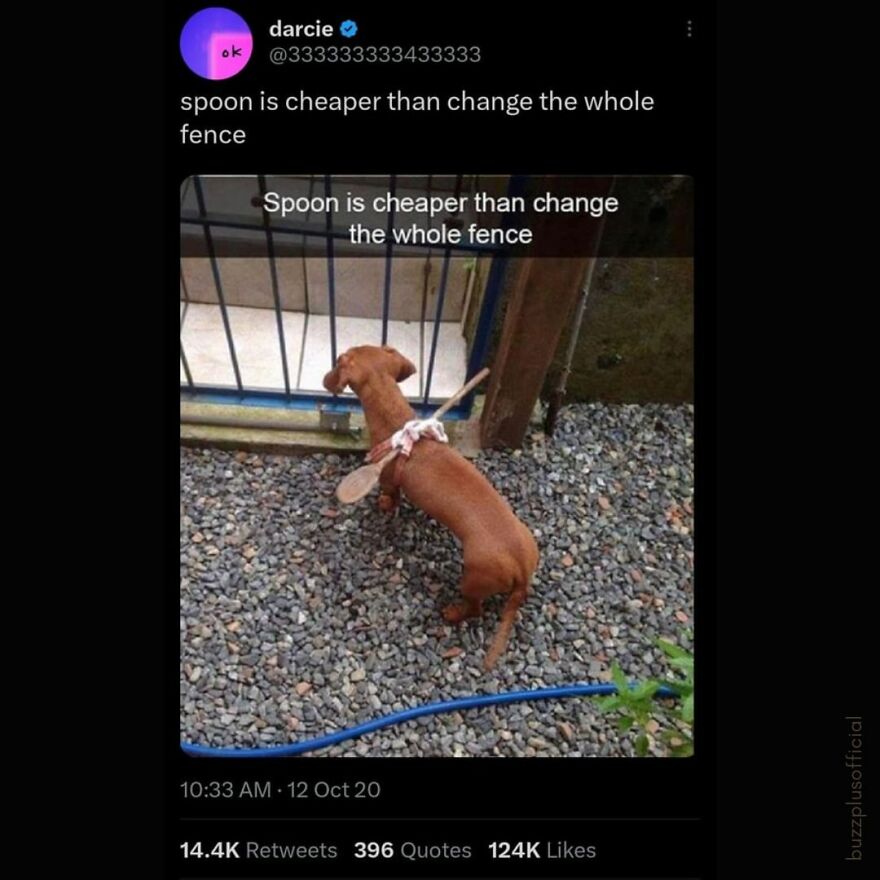 Funny Daily Memes For You Funny Daily Memes For You