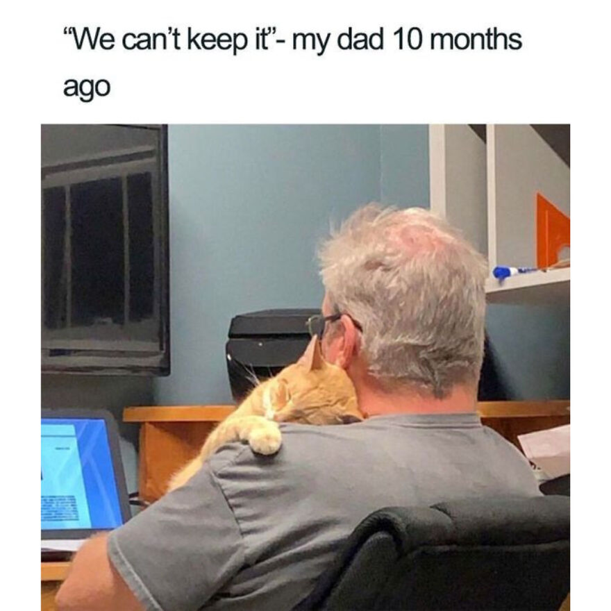 Funny Daily Memes For You Funny Daily Memes For You