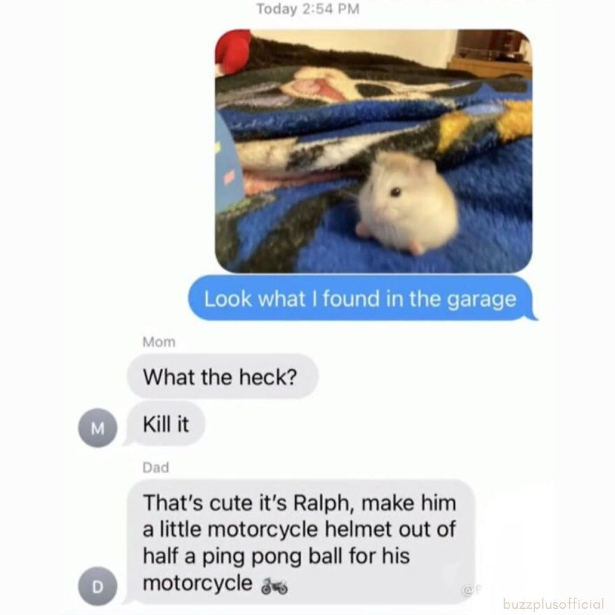 Funny Daily Memes For You Funny Daily Memes For You