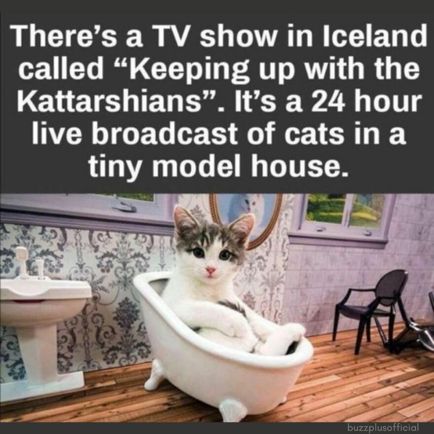 Funny Daily Memes For You Funny Daily Memes For You