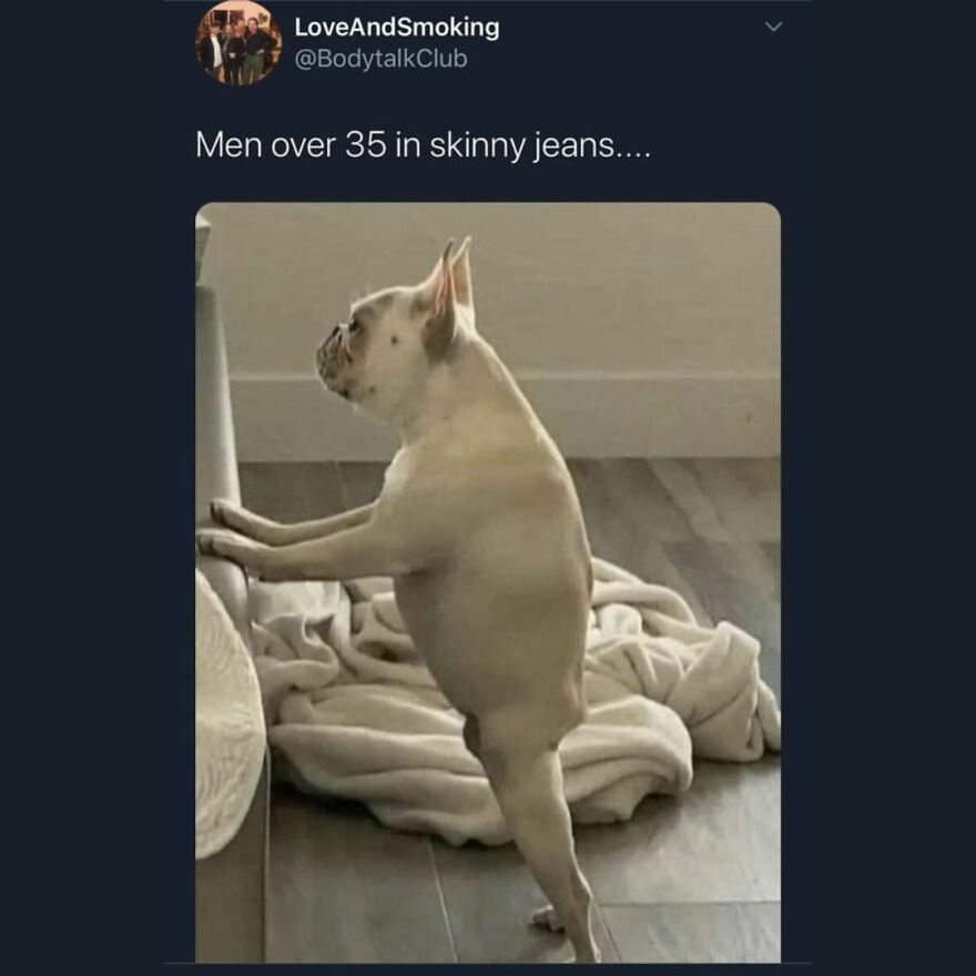 Funny Daily Memes For You Funny Daily Memes For You