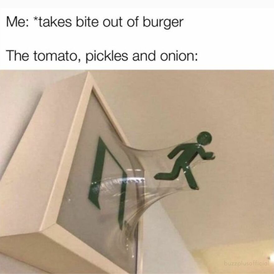 Funny Daily Memes For You Funny Daily Memes For You