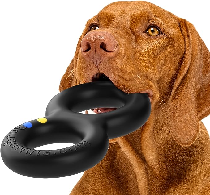 Dog chewing durable toy for tough chewers, showcasing strength and resilience. Dog chewing durable toy for tough chewers, showcasing strength and resilience.