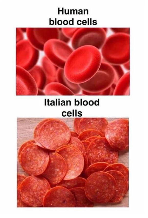 Human-Italian-Blood-Cells-653a13c04e98d.jpg
