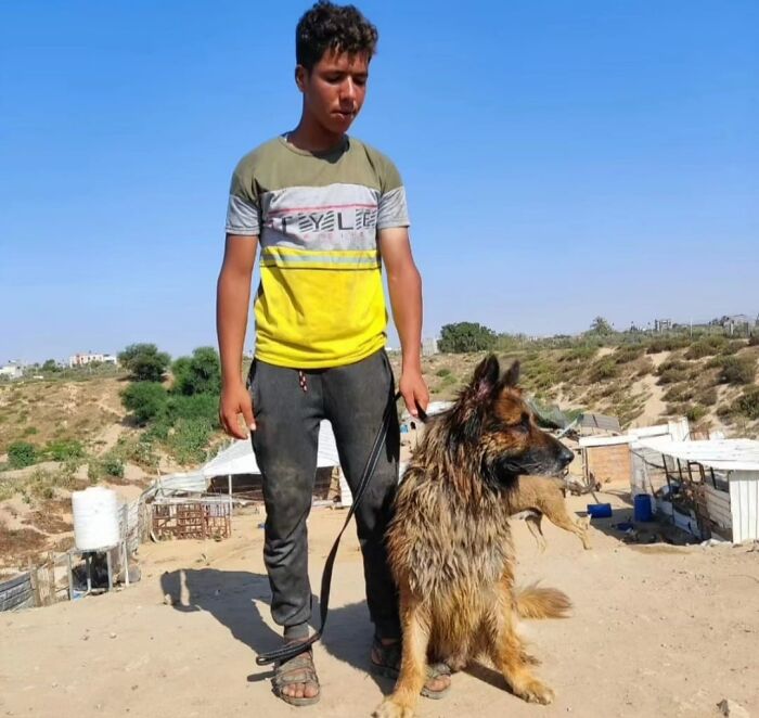 The Shocking Reality Of Animals In War Zones: How We Are Helping Animal Shelters In Gaza-Israel War