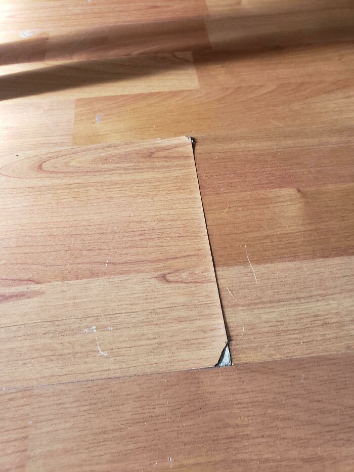 Cheap Laminate Flooring