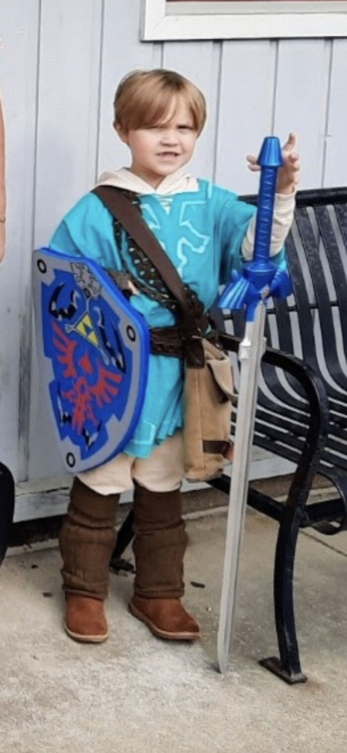 Link From Breath Of The Wild