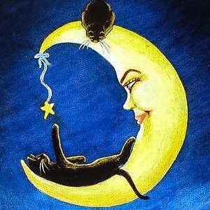 mooncat7 avatar