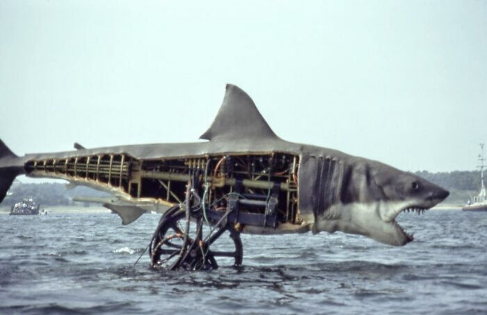 The Shark From Jaws
