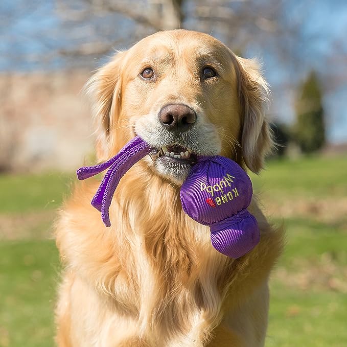 Golden retriever chewing a tough purple dog toy, designed for strong chewers, in a sunny outdoor setting. Golden retriever chewing a tough purple dog toy, designed for strong chewers, in a sunny outdoor setting.