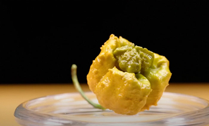 Man Crossbreeds Carolina Reaper With "Brutally Hot" Mystery Pepper, Beats His Own Guinness World Record Man Crossbreeds Carolina Reaper With "Brutally Hot" Mystery Pepper, Beats His Own Guinness World Record