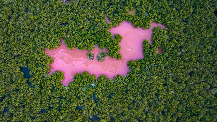 Mangrove Action Awards Pink Lake
