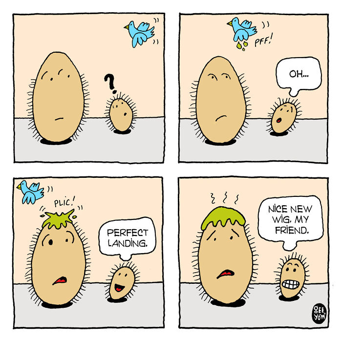 Inspired By Quirky Life Events, I Created The “2 Hairy Potatoes” Comic Series