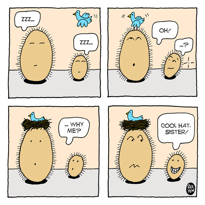Inspired By Quirky Life Events, I Created The “2 Hairy Potatoes” Comic Series Inspired By Quirky Life Events, I Created The “2 Hairy Potatoes” Comic Series