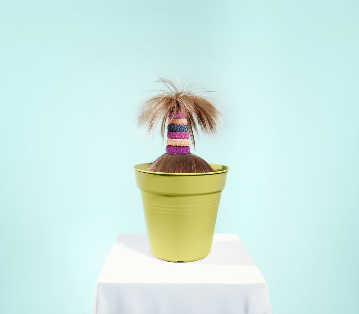 An image of hair in a plant pot