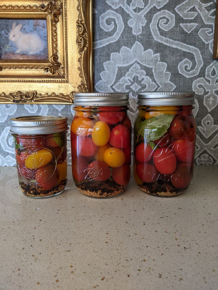 Pickled Cherry Tomatoes With Basil