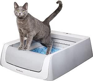 Gray cat standing on an automatic litter box, demonstrating a pet-friendly solution to keep dogs out. Gray cat standing on an automatic litter box, demonstrating a pet-friendly solution to keep dogs out.