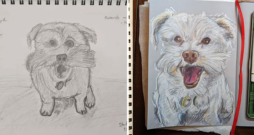 6 Years Of Drawing Dogs