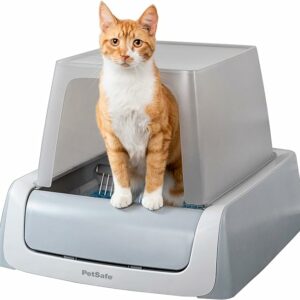 Cat sitting on an enclosed litter box to keep dogs out. Cat sitting on an enclosed litter box to keep dogs out.