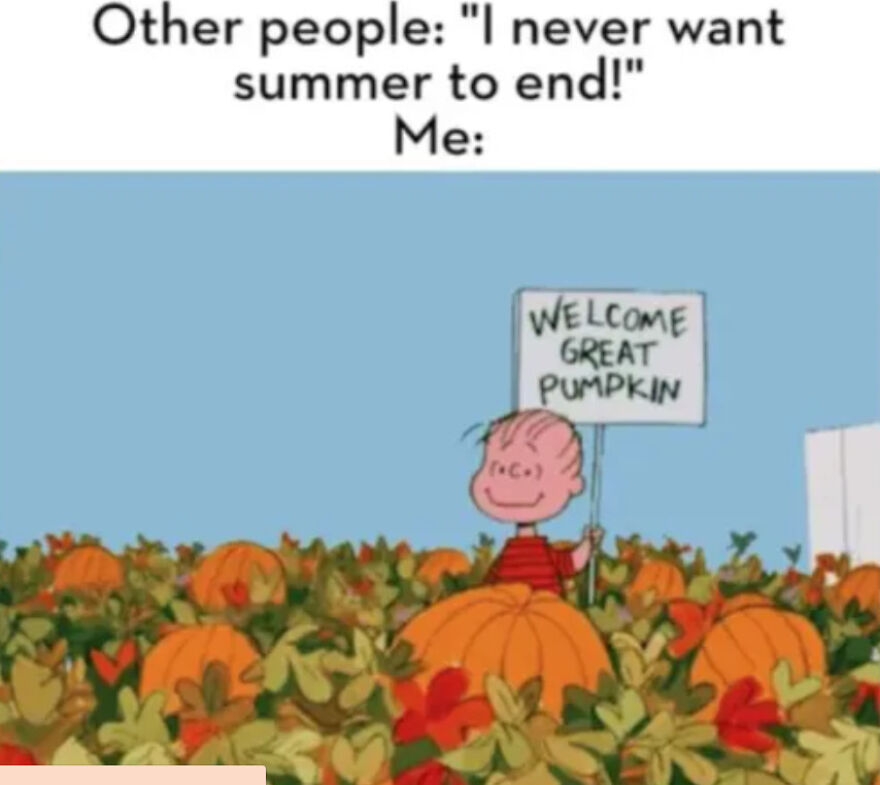 Fall Memes Fall Memes