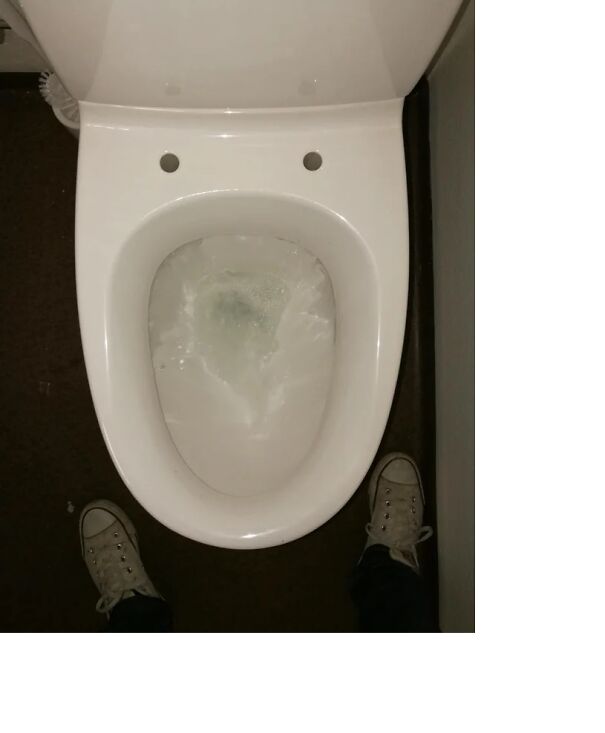 Shocked-toilet-65378d59bd616.jpg