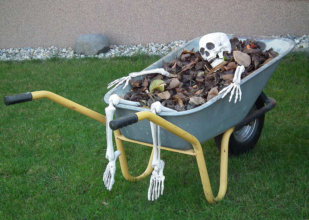A skeleton lies inside a garden wheelbarrow with tree leaves
