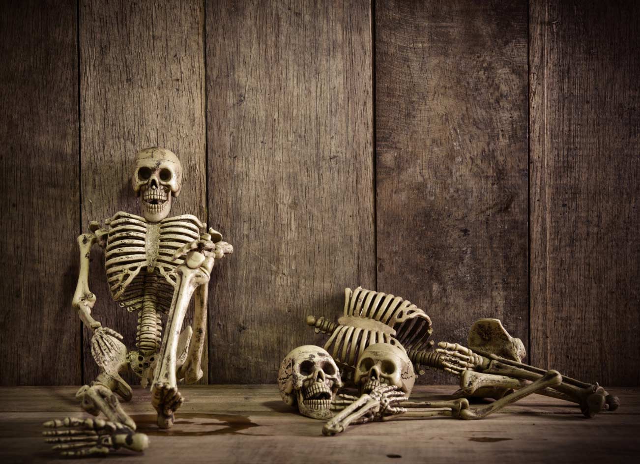 Skeletons near wooden wall