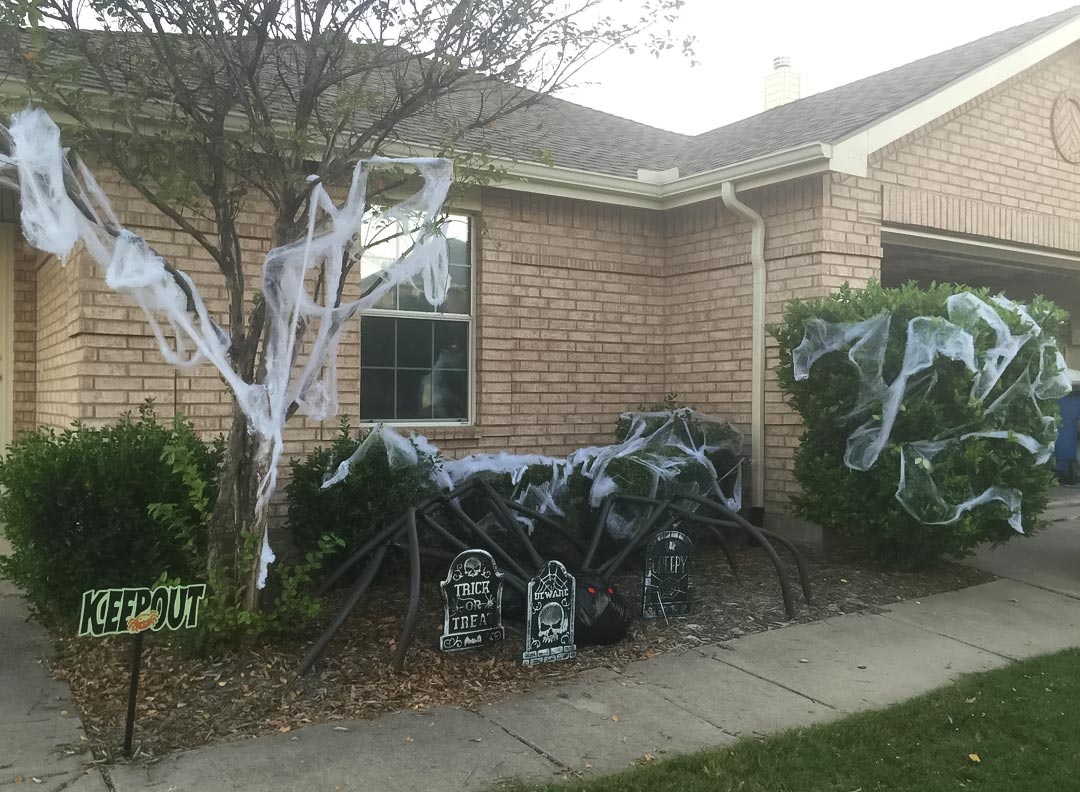 Yard decorated with spider and spider webs