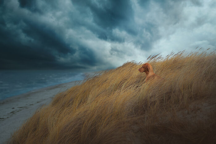 Finalista categoría Retrato y paisaje: "Mar tormentoso" por Julia Haberichter