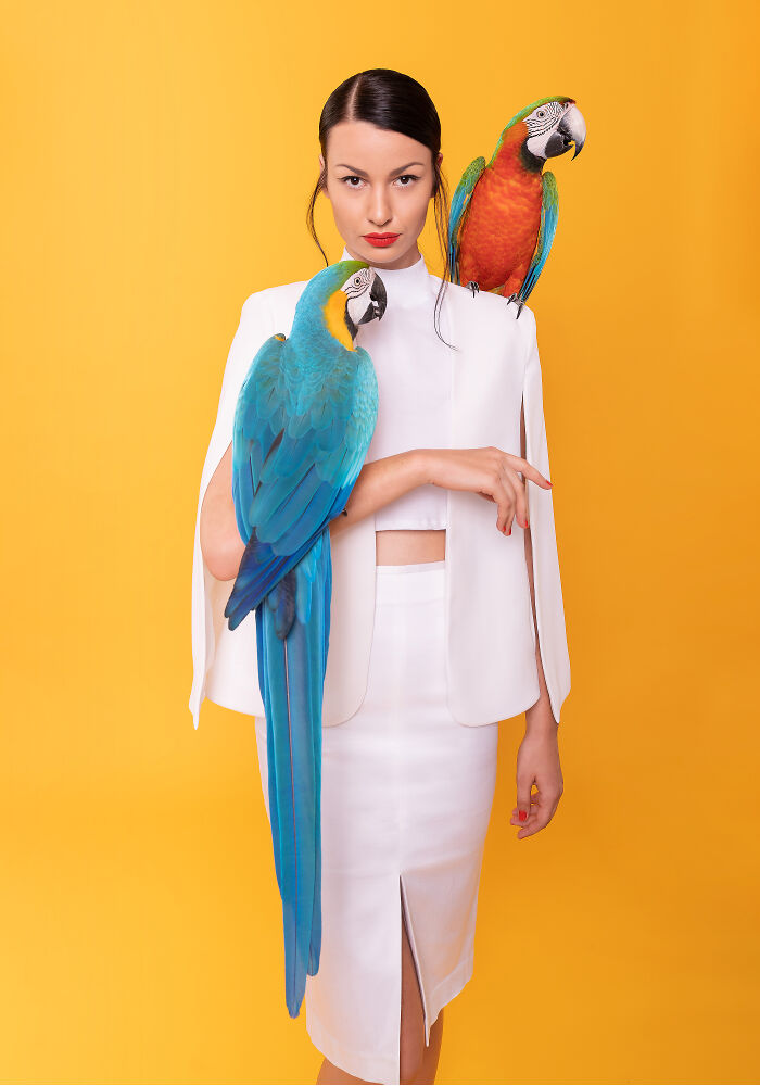 And elegant woman and her parrots