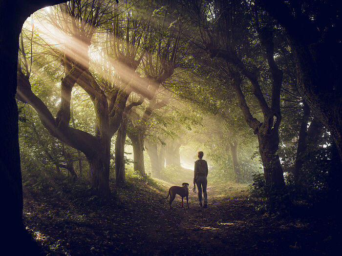 Fairy tale landscape with a human walking the dog