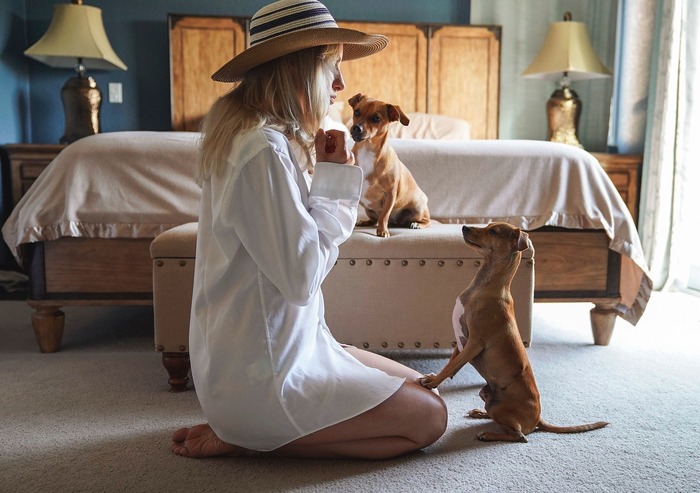 Woman interacting with two small dogs in a bedroom, offering a training tip to prevent digging under fences. Woman interacting with two small dogs in a bedroom, offering a training tip to prevent digging under fences.