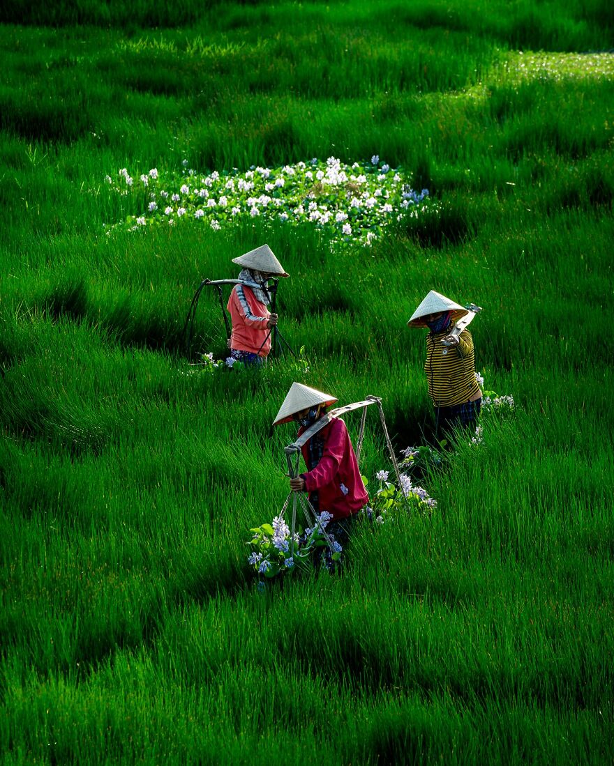 Vietnam Wonderfully Seen From Above Through The Lens Of Khánh Phan