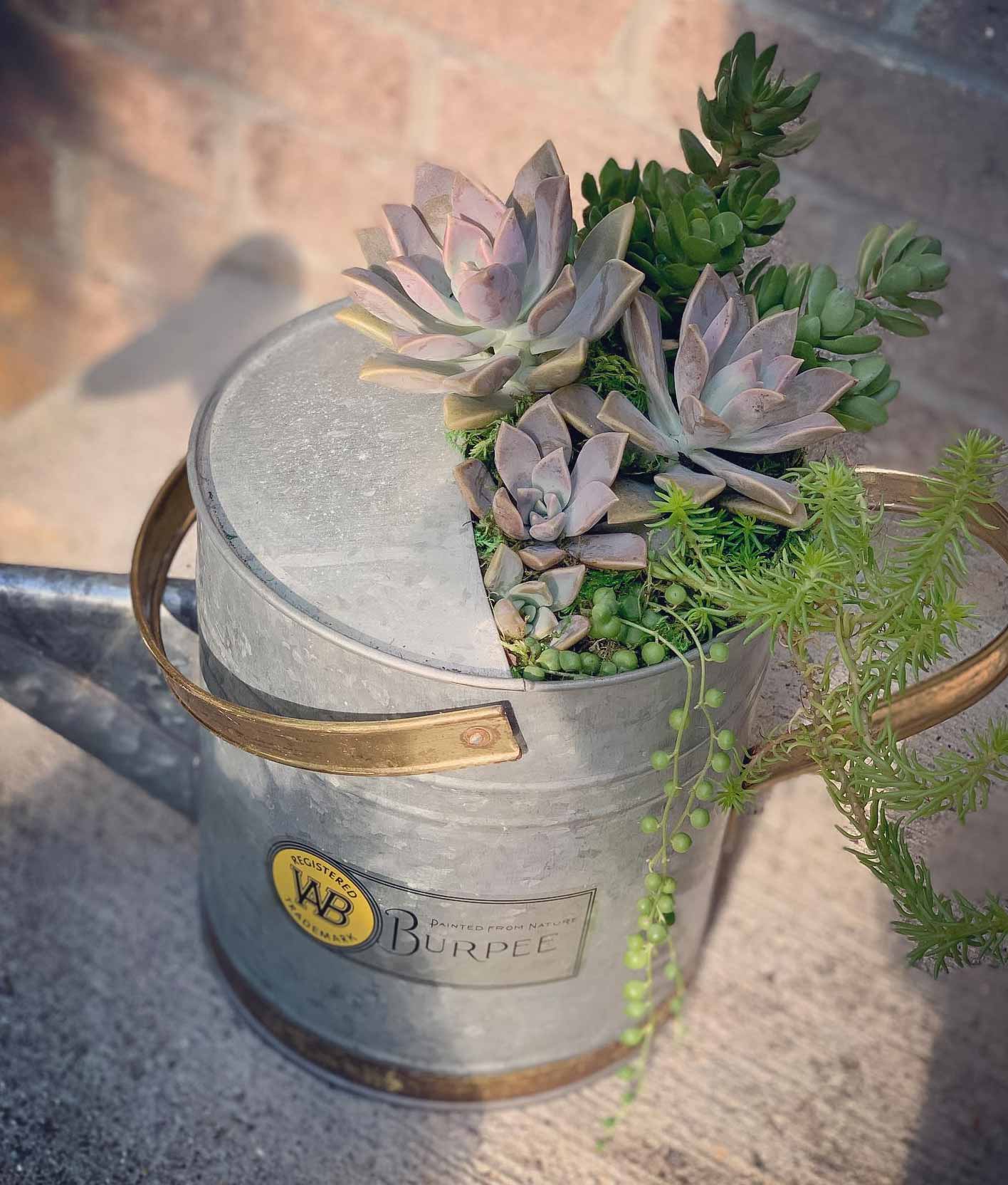 Repurposed an old metal watering can into a flower pot