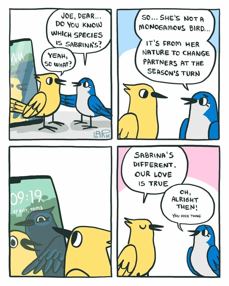 Bird species
