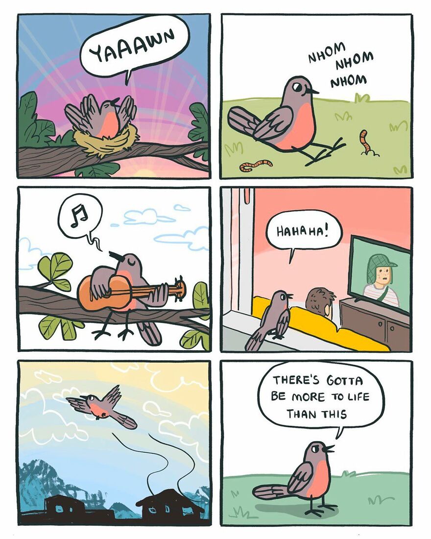 Bird's life